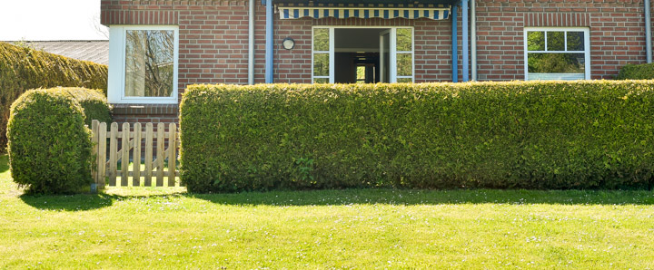 Ferienwohnung Luv un Lee - Aussenansicht